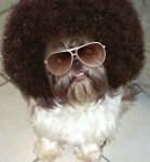 Atomic Dog